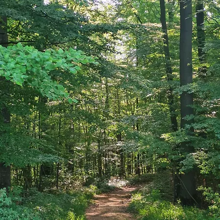 Дом отдыха Valle Eifel Kall