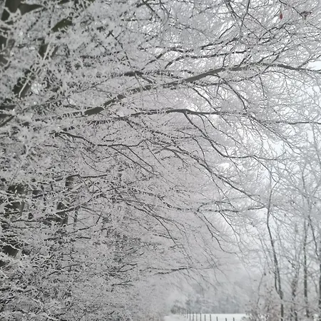 Valle Eifel *