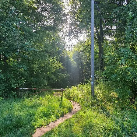 Valle In Kall-steinfeld * Kall