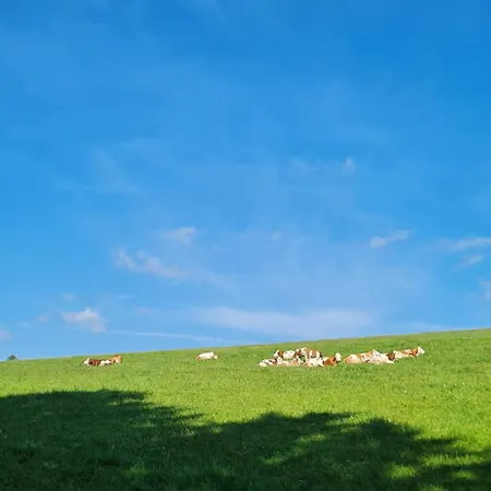 Vakantiehuis Valle In Kall-steinfeld *