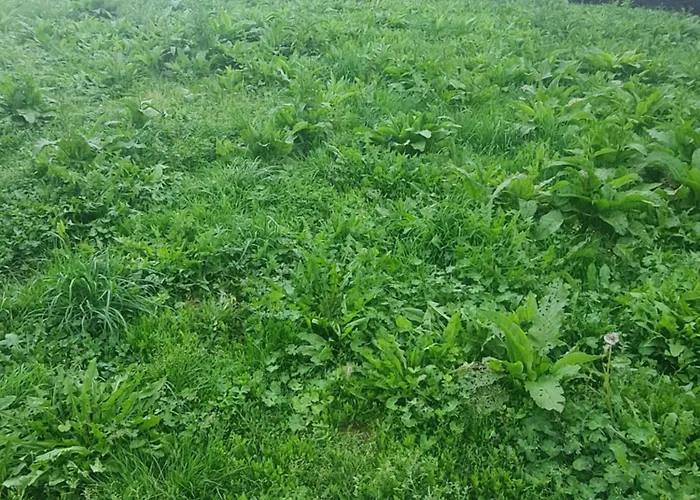 بيت للعطل Valle In Kall-steinfeld Kall