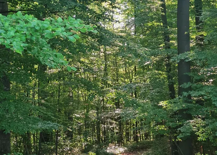 بيت للعطل Valle In Kall-steinfeld Kall