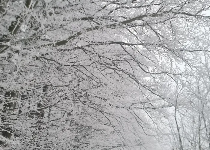 Valle In Kall-steinfeld *