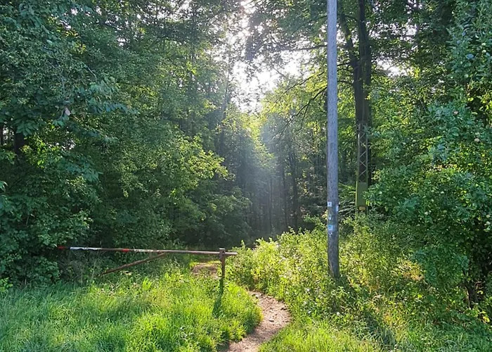 Valle In Kall-steinfeld * Kall