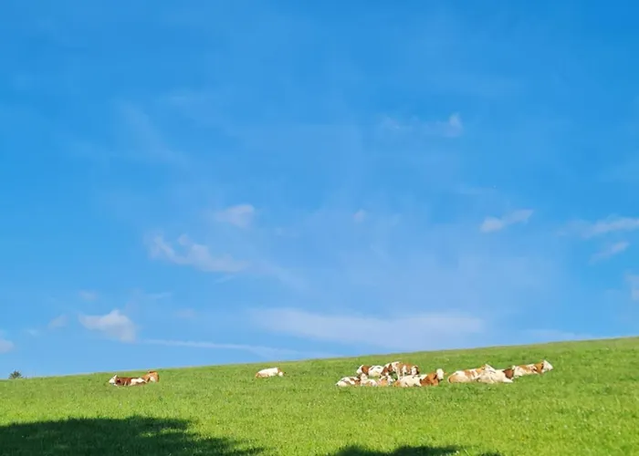 بيت للعطل Valle In Kall-steinfeld *